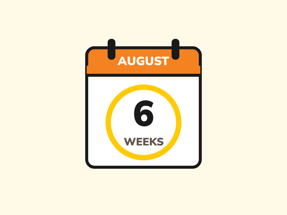 August calendar showing 6 weeks